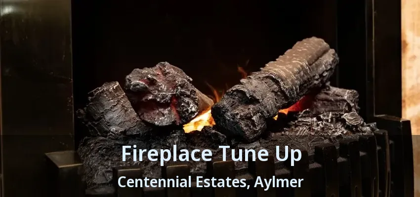 Fireplace Tune Up Centennial Estates, Aylmer - ON Fireplace Tune Up Centennial Estates, Aylmer - ON