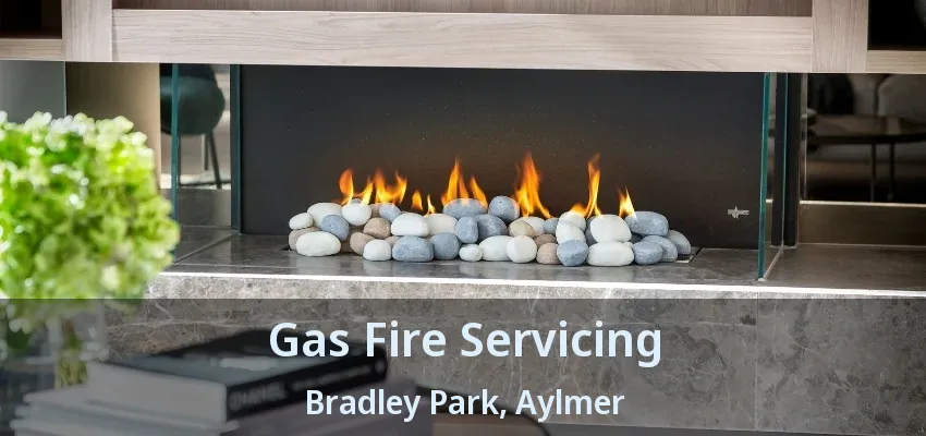 Gas Fire Servicing Bradley Park, Aylmer - ON Gas Fire Servicing Bradley Park, Aylmer - ON