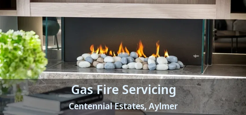 Gas Fire Servicing Centennial Estates, Aylmer - ON Gas Fire Servicing Centennial Estates, Aylmer - ON