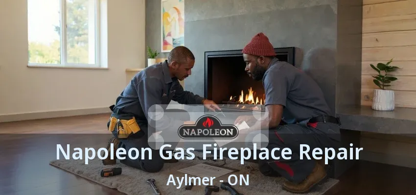 Napoleon Gas Fireplace Repair Aylmer - ON Napoleon Gas Fireplace Repair Aylmer - ON
