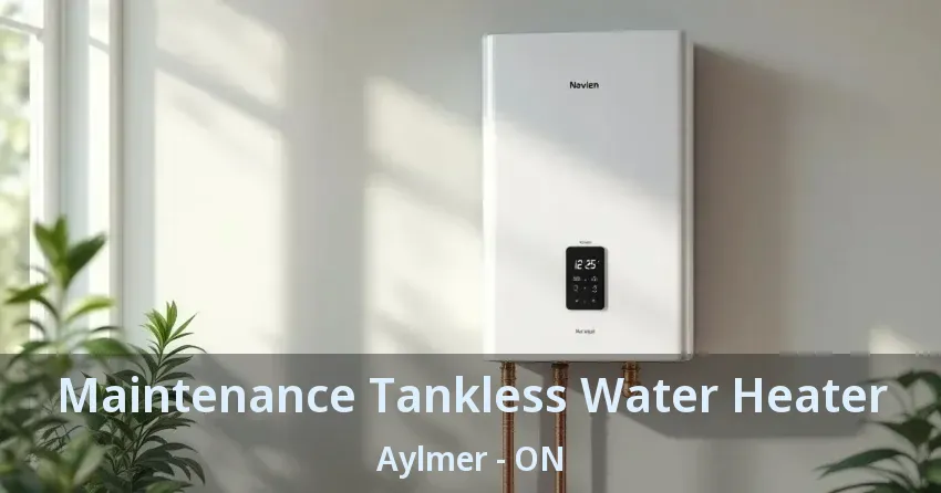 Maintenance Tankless Water Heater Aylmer - ON Maintenance Tankless Water Heater Aylmer - ON