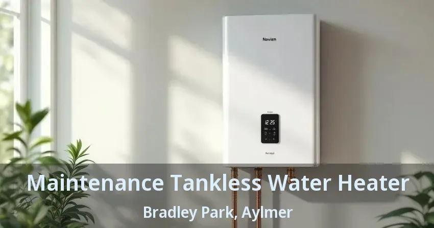 Maintenance Tankless Water Heater Bradley Park, Aylmer - ON Maintenance Tankless Water Heater Bradley Park, Aylmer - ON