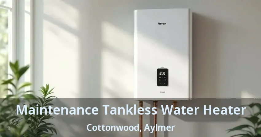 Maintenance Tankless Water Heater Cottonwood, Aylmer - ON Maintenance Tankless Water Heater Cottonwood, Aylmer - ON