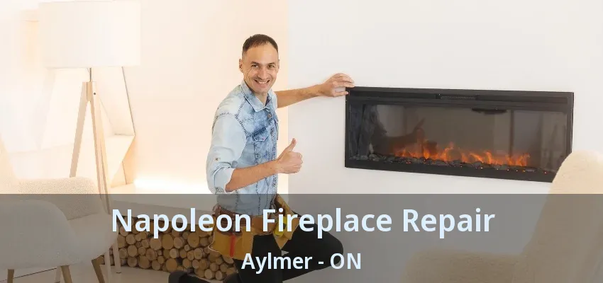 Napoleon Fireplace Repair Aylmer - ON Napoleon Fireplace Repair Aylmer - ON