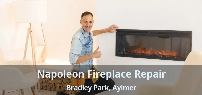 Napoleon Fireplace Repair Bradley Park, Aylmer - ON Napoleon Fireplace Repair Bradley Park, Aylmer - ON