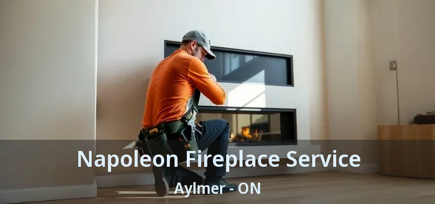 Napoleon Fireplace Service Aylmer - ON Napoleon Fireplace Service Aylmer - ON
