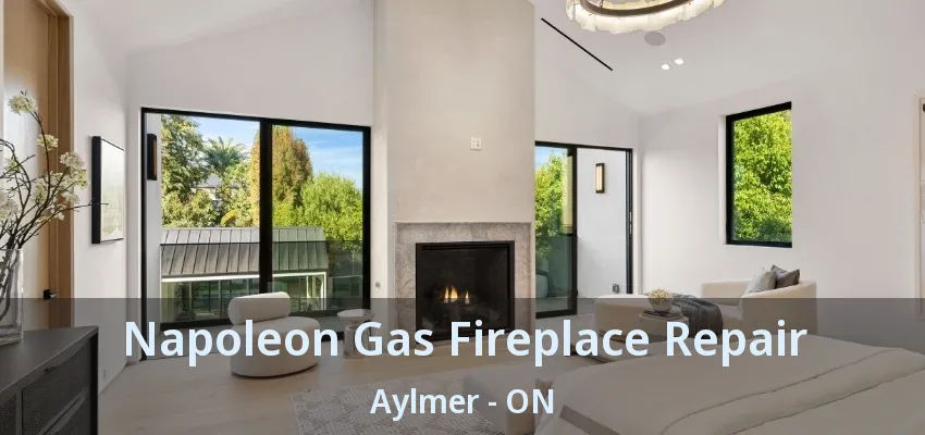 Napoleon Gas Fireplace Repair Aylmer - ON Napoleon Gas Fireplace Repair Aylmer - ON