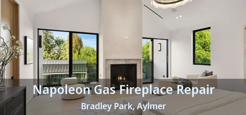 Napoleon Gas Fireplace Repair Bradley Park, Aylmer - ON Napoleon Gas Fireplace Repair Bradley Park, Aylmer - ON
