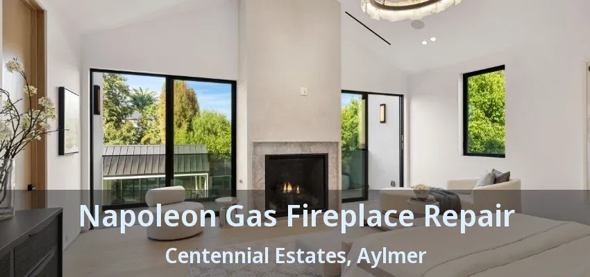 Napoleon Gas Fireplace Repair Centennial Estates, Aylmer - ON Napoleon Gas Fireplace Repair Centennial Estates, Aylmer - ON