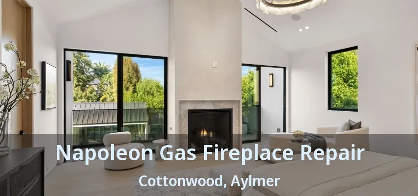 Napoleon Gas Fireplace Repair Cottonwood, Aylmer - ON Napoleon Gas Fireplace Repair Cottonwood, Aylmer - ON