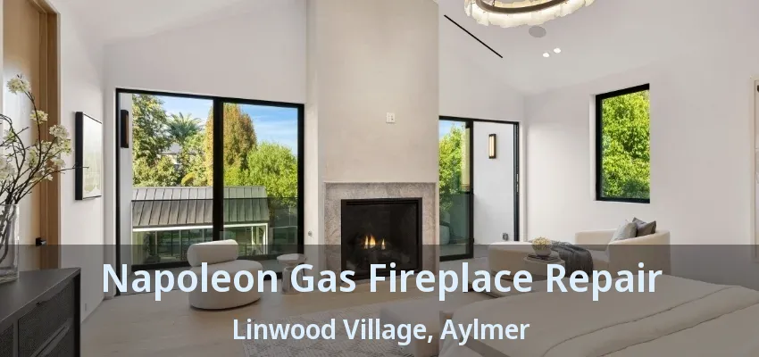 Napoleon Gas Fireplace Repair Linwood Village, Aylmer - ON Napoleon Gas Fireplace Repair Linwood Village, Aylmer - ON