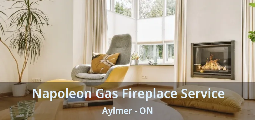 Napoleon Gas Fireplace Service Aylmer - ON Napoleon Gas Fireplace Service Aylmer - ON