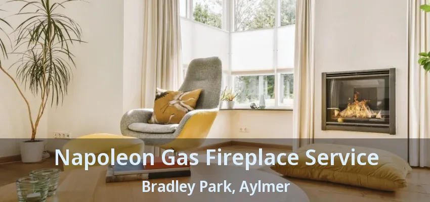 Napoleon Gas Fireplace Service Bradley Park, Aylmer - ON Napoleon Gas Fireplace Service Bradley Park, Aylmer - ON
