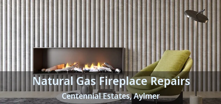 Natural Gas Fireplace Repairs Centennial Estates, Aylmer - ON Natural Gas Fireplace Repairs Centennial Estates, Aylmer - ON