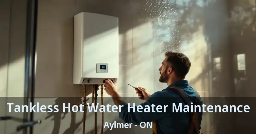 Tankless Hot Water Heater Maintenance Aylmer - ON Tankless Hot Water Heater Maintenance Aylmer - ON