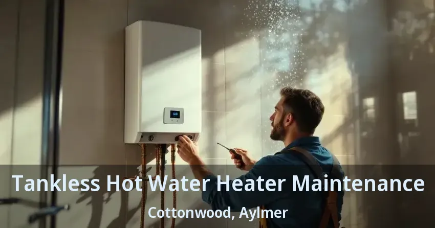 Tankless Hot Water Heater Maintenance Cottonwood, Aylmer - ON Tankless Hot Water Heater Maintenance Cottonwood, Aylmer - ON