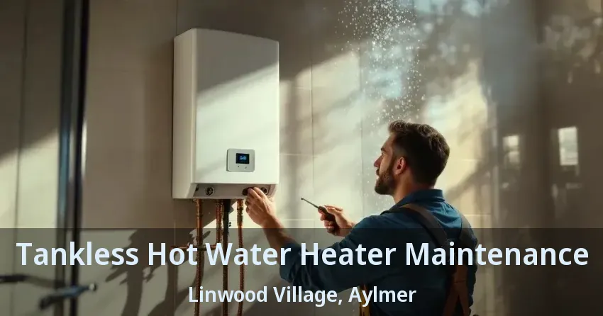 Tankless Hot Water Heater Maintenance Linwood Village, Aylmer - ON Tankless Hot Water Heater Maintenance Linwood Village, Aylmer - ON