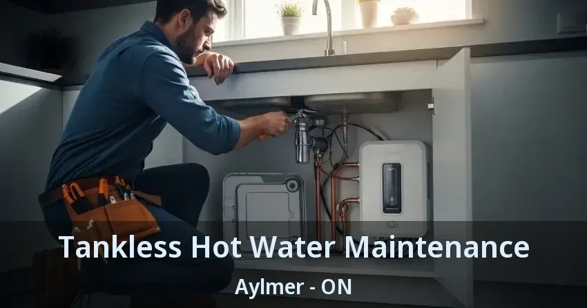 Tankless Hot Water Maintenance Aylmer - ON
