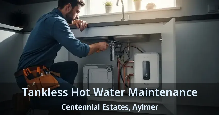 Tankless Hot Water Maintenance Centennial Estates, Aylmer - ON Tankless Hot Water Maintenance Centennial Estates, Aylmer - ON