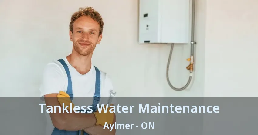 Tankless Water Maintenance Aylmer - ON Tankless Water Maintenance Aylmer - ON