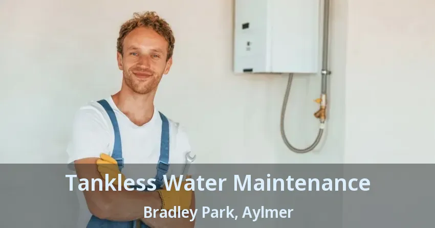 Tankless Water Maintenance Bradley Park, Aylmer - ON Tankless Water Maintenance Bradley Park, Aylmer - ON